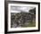 Dry Stone Wall on the Burren, County Clare, Munster, Republic of Ireland-Gary Cook-Framed Photographic Print