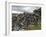 Dry Stone Wall on the Burren, County Clare, Munster, Republic of Ireland-Gary Cook-Framed Photographic Print