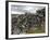 Dry Stone Wall on the Burren, County Clare, Munster, Republic of Ireland-Gary Cook-Framed Photographic Print