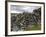 Dry Stone Wall on the Burren, County Clare, Munster, Republic of Ireland-Gary Cook-Framed Photographic Print