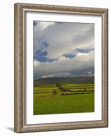 Dry Stone Walls Below the Pennines, Eden Valley, Cumbria, England, United Kingdom-James Emmerson-Framed Photographic Print