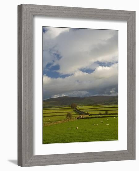 Dry Stone Walls Below the Pennines, Eden Valley, Cumbria, England, United Kingdom-James Emmerson-Framed Photographic Print