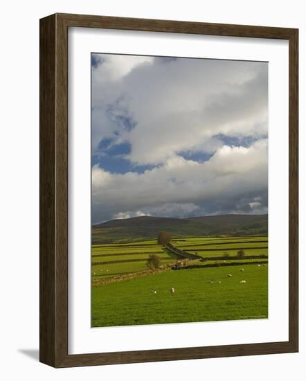 Dry Stone Walls Below the Pennines, Eden Valley, Cumbria, England, United Kingdom-James Emmerson-Framed Photographic Print