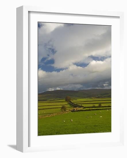 Dry Stone Walls Below the Pennines, Eden Valley, Cumbria, England, United Kingdom-James Emmerson-Framed Photographic Print