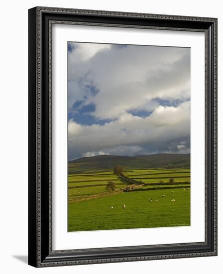 Dry Stone Walls Below the Pennines, Eden Valley, Cumbria, England, United Kingdom-James Emmerson-Framed Photographic Print