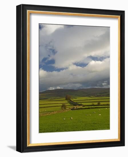 Dry Stone Walls Below the Pennines, Eden Valley, Cumbria, England, United Kingdom-James Emmerson-Framed Photographic Print