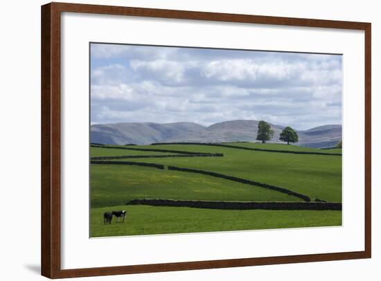 Dry Stone Walls, Eden Valley, Cumbria, England, United Kingdom, Europe-James Emmerson-Framed Photographic Print