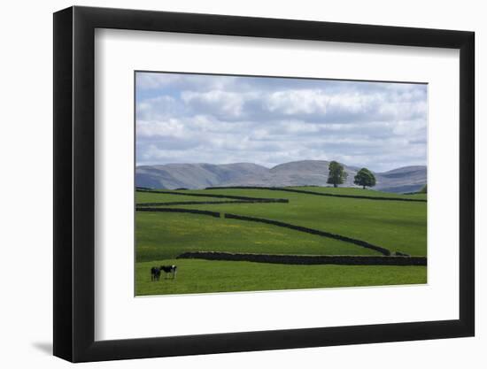 Dry Stone Walls, Eden Valley, Cumbria, England, United Kingdom, Europe-James Emmerson-Framed Photographic Print