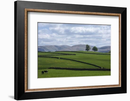 Dry Stone Walls, Eden Valley, Cumbria, England, United Kingdom, Europe-James Emmerson-Framed Photographic Print