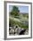 Dry Stone Walls, Hartington, Peak District, Derbyshire, England, United Kingdom, Europe-Frank Fell-Framed Photographic Print