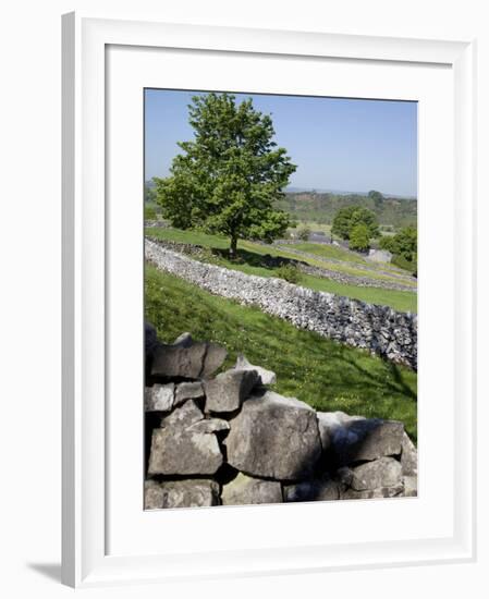 Dry Stone Walls, Hartington, Peak District, Derbyshire, England, United Kingdom, Europe-Frank Fell-Framed Photographic Print