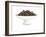 Dry Tea-Fabio Petroni-Framed Photographic Print