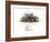 Dry Tea-Fabio Petroni-Framed Photographic Print