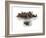 Dry Tea-Fabio Petroni-Framed Photographic Print