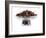 Dry Tea-Fabio Petroni-Framed Photographic Print