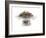 Dry Tea-Fabio Petroni-Framed Photographic Print