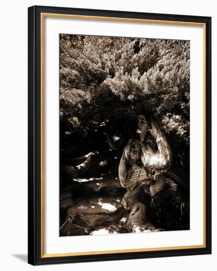Dryad II-Lydia Marano-Framed Photographic Print