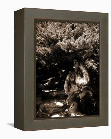 Dryad II-Lydia Marano-Framed Premier Image Canvas