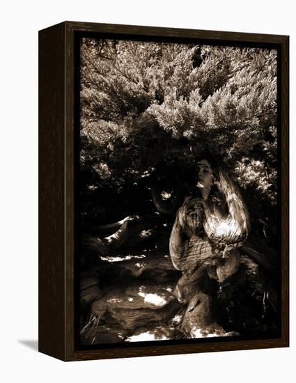 Dryad II-Lydia Marano-Framed Premier Image Canvas