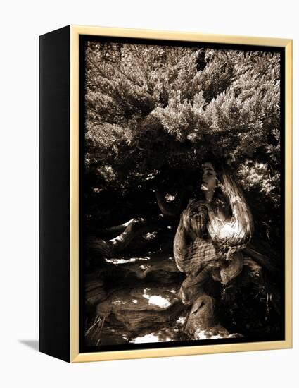 Dryad II-Lydia Marano-Framed Premier Image Canvas