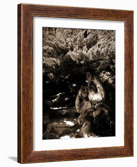 Dryad II-Lydia Marano-Framed Photographic Print