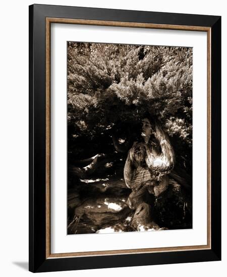 Dryad II-Lydia Marano-Framed Photographic Print