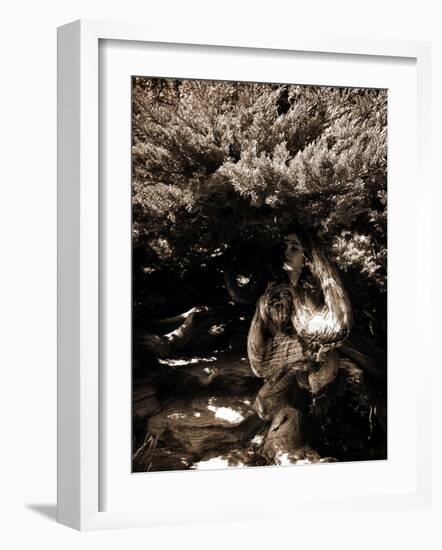 Dryad II-Lydia Marano-Framed Photographic Print