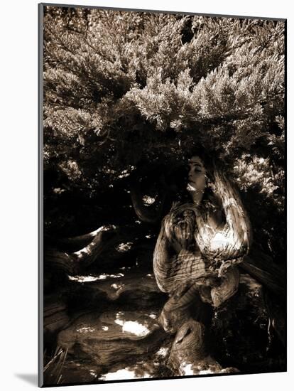 Dryad II-Lydia Marano-Mounted Photographic Print