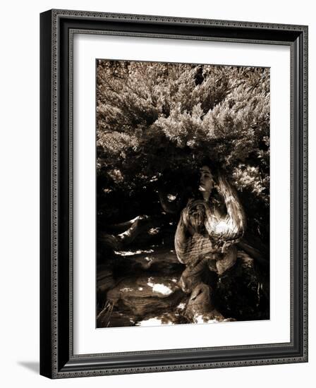 Dryad II-Lydia Marano-Framed Photographic Print