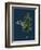 Dryas Octopetala; Mountain Avens-null-Framed Giclee Print