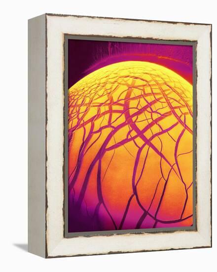 Dryed Drop of Blood-Micro Discovery-Framed Premier Image Canvas