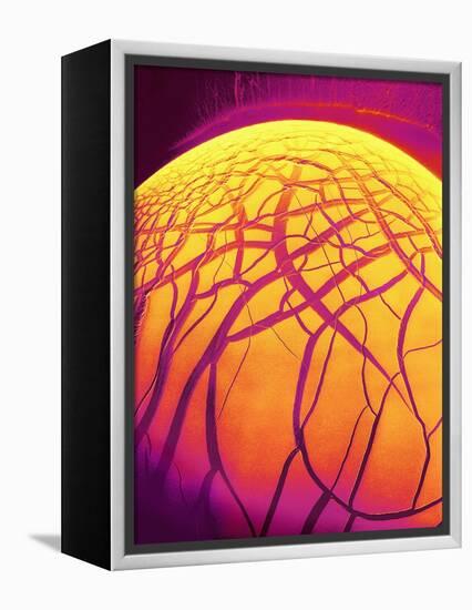 Dryed Drop of Blood-Micro Discovery-Framed Premier Image Canvas