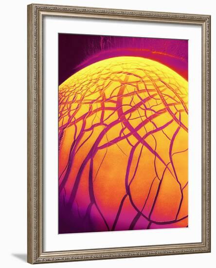 Dryed Drop of Blood-Micro Discovery-Framed Photographic Print