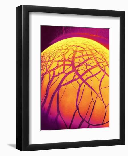 Dryed Drop of Blood-Micro Discovery-Framed Photographic Print