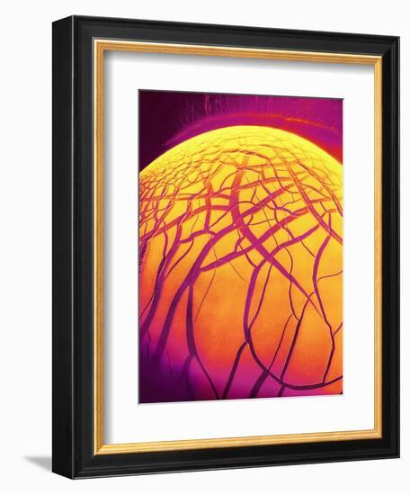 Dryed Drop of Blood-Micro Discovery-Framed Photographic Print