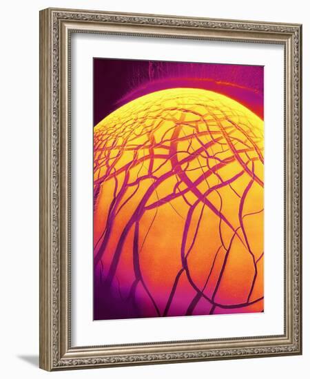 Dryed Drop of Blood-Micro Discovery-Framed Photographic Print