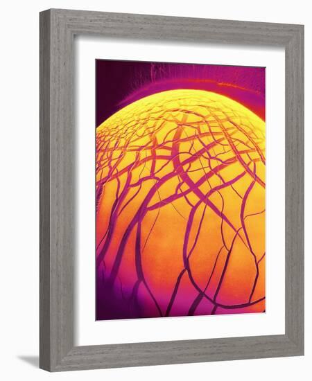 Dryed Drop of Blood-Micro Discovery-Framed Photographic Print