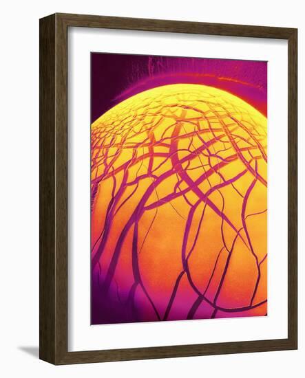 Dryed Drop of Blood-Micro Discovery-Framed Photographic Print