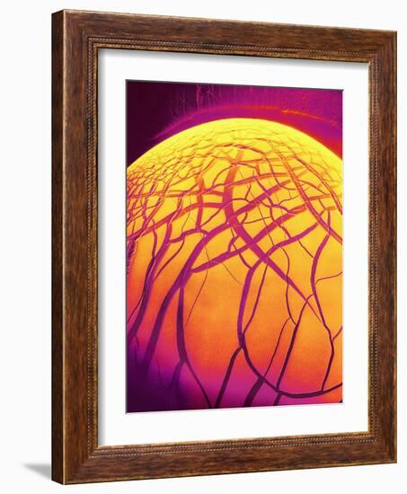 Dryed Drop of Blood-Micro Discovery-Framed Photographic Print