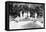 Drying Cocoa, Trinidad, C1900s-null-Framed Premier Image Canvas