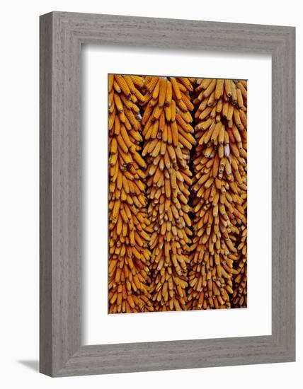 Drying Corn-Darrell Gulin-Framed Photographic Print