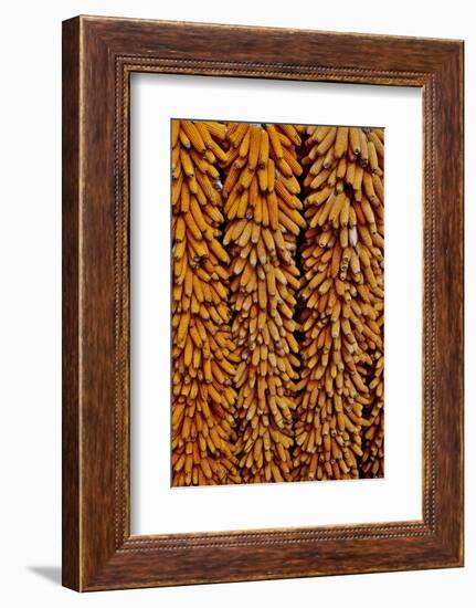 Drying Corn-Darrell Gulin-Framed Photographic Print