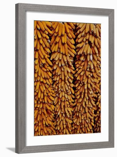 Drying Corn-Darrell Gulin-Framed Photographic Print