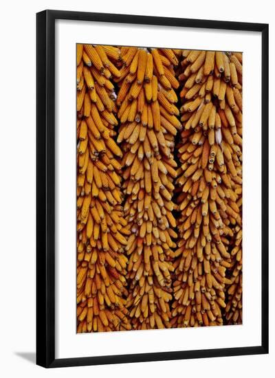 Drying Corn-Darrell Gulin-Framed Photographic Print