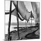 Premium Photographic Print