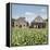 Drying House on a Tobacco Plantation, Pinar Del Rio Province, Cuba-Jon Arnold-Framed Premier Image Canvas