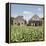 Drying House on a Tobacco Plantation, Pinar Del Rio Province, Cuba-Jon Arnold-Framed Premier Image Canvas