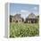 Drying House on a Tobacco Plantation, Pinar Del Rio Province, Cuba-Jon Arnold-Framed Premier Image Canvas