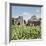 Drying House on a Tobacco Plantation, Pinar Del Rio Province, Cuba-Jon Arnold-Framed Photographic Print