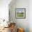 Drying House on a Tobacco Plantation, Pinar Del Rio Province, Cuba-Jon Arnold-Framed Photographic Print displayed on a wall